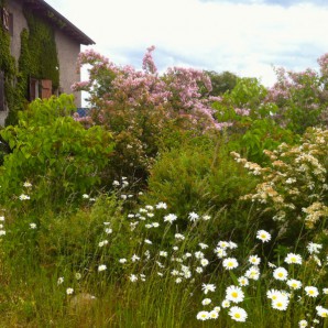 uckermark ferienhaus